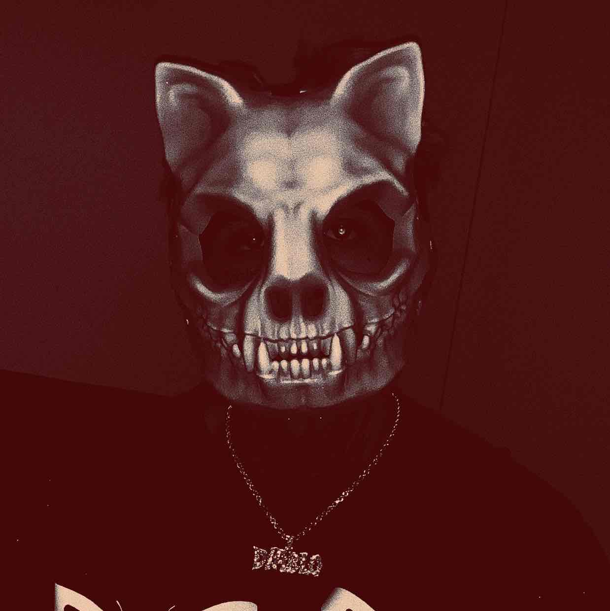 Cameo profile picture for @diablo