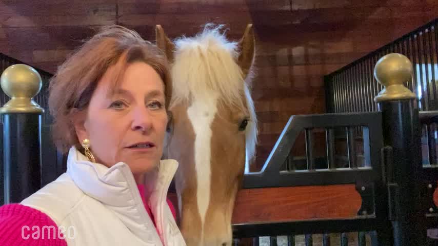 R&R Ranch Miniature Horse Sanctuary for Sean | Cameo